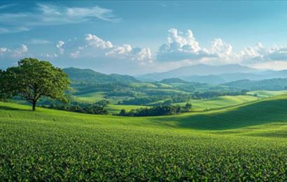 طبیعت زیبای ایران فقط در 3 دقیقه